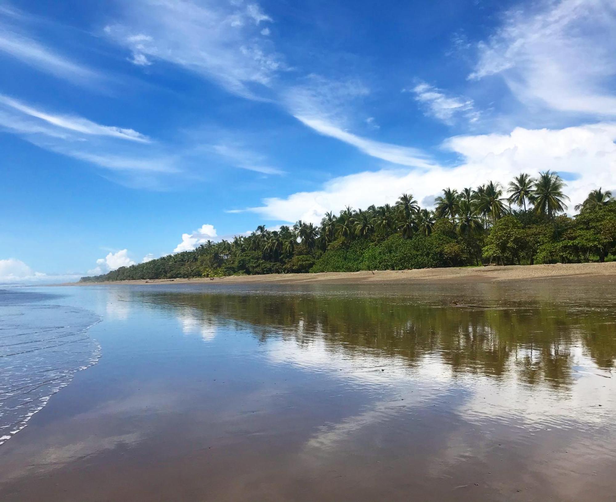 Hotel Tropical Sands Dominical Eksteriør billede