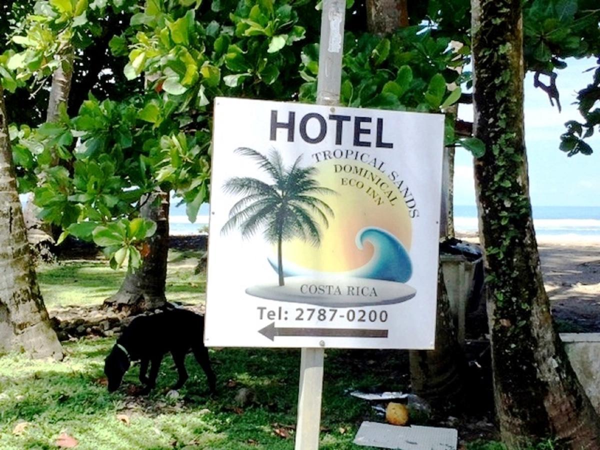 Hotel Tropical Sands Dominical Eksteriør billede